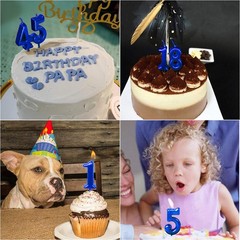 Blue Birthday Candles 5 Candle 5th Five Years Cake Bady Roman Number 5,