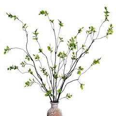 Cherica 4 Pcs Artificial Ficus Branches Faux Eucalyptus Stems, 4 Pcs, Green