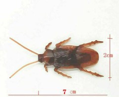 20PCS Rubber Cockroaches Realistic Cock Roach Rubber Fake Creepy Bugs Gag Toy US