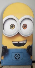Minions Birthday Arch Backdrop Cover