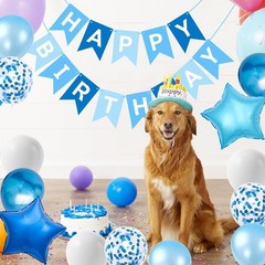 Blue Decorations for , Blue Happy Banner, Star Balloons and Confetti Latex Ba…