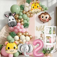 Two Wild Birthday Decorations Jungle Theme 2nd Birthday Decorations for Girl Hug