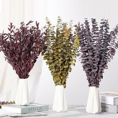 20 PCS Dried Eucalyptus Stems, 17» Natural Real Live Yellow