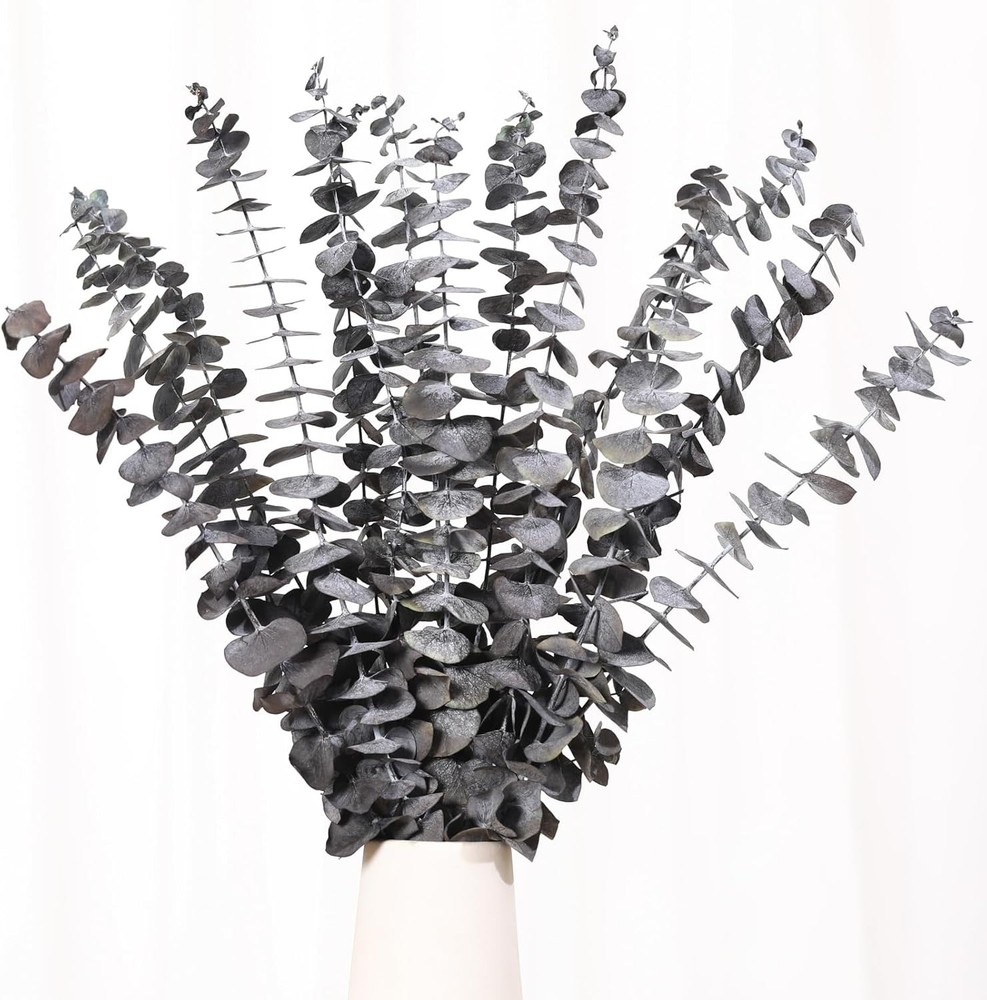 16 Pcs Dried Eucalyptus Stems, 17» Natural Leaves Z-black