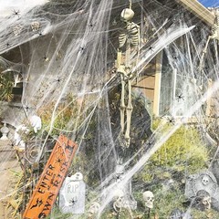 200g Halloween Decorations Outdoor Spider Web Set