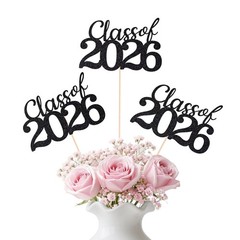 12 Pcs Class of 2026 Graduation Decorations, Table Centerpieces Grad Black