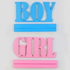 Gender Reveal Wooden Table Centerpieces 2 PCS Boy Girl Signs Blue Pink Decor