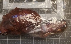 Halloween cut off Heart Prop with bottle of blood meat hook Life Size Chop Shop