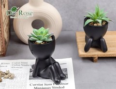 Der Rose Set of 2 Fake Plants Artificial Succulent for Office Black