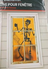 Skeleton’s Window Silhouettes Door Cover Halloween Horror Scene 33.5×65