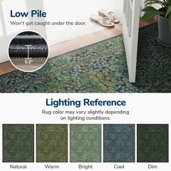 Lessymo 2×4 Small Runners for Kitchen, Washable 2’x4′ (Runner), Forest Green