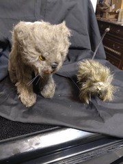 Zombie Cat & Mouse Halloween Decoration Prop Gory Blood Skeleton Full Size Furry