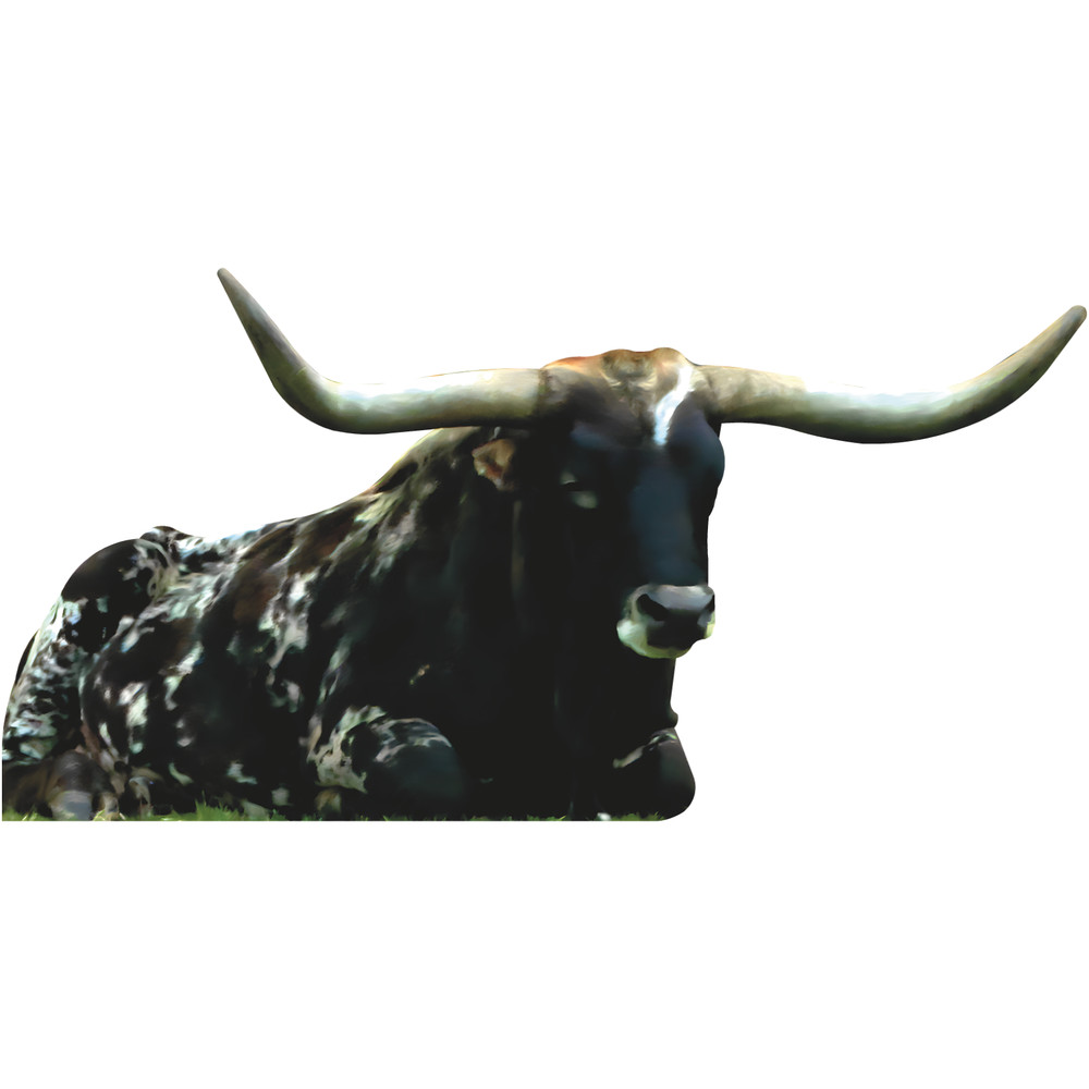 SP13393 Texas Longhorn Cow Sitting Cattle Steer Beef Cardboard Cutout Standee St