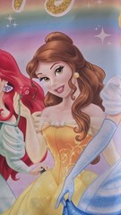 RARE HTF Authentic Classic Disney Princess Rainbow Birthday Photo Backdrop