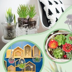 WILLBOND 50 Pcs Bulk Mini Artificial Succulents Plants Assorted Normal Style