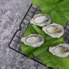 Artificial Oysters, 6 Pcs Simulate Fake Realistic Oyster Models for Home Kitc…