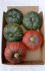 3D Pumpkin Decoration Gourds Window Display Natural Halloween Thanksgiving Event