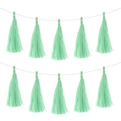 20Pcs Light Green Tassel Garland Banner Rope Tissue Paper Tassels Party DIY Kit
