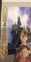 Harry Potter Birthday Scene Setter