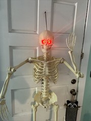 Crazy Bonez PoseNStay 5FT Skeleton Posable Moveable Joints Eyes light up