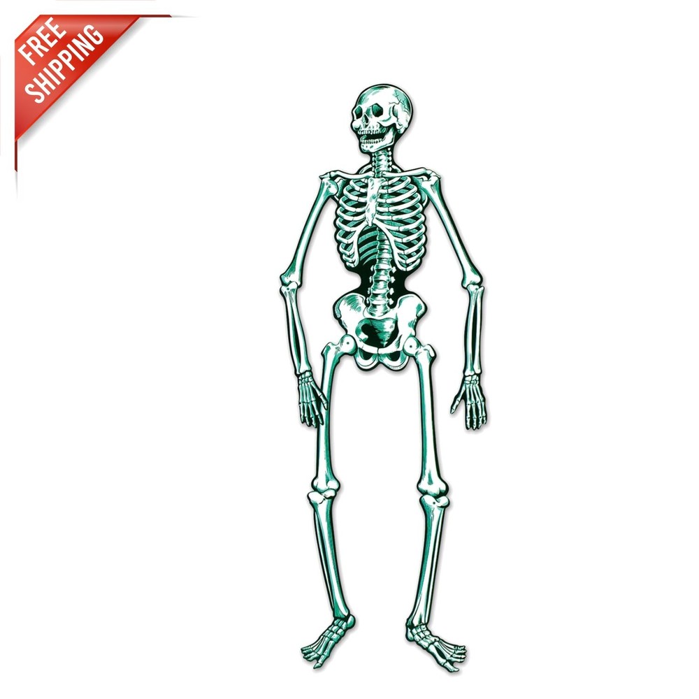 Durable Jointed Skeleton for Halloween – 55 Inch Poseable Decoration for Parties