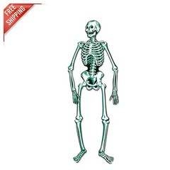 Durable Jointed Skeleton for Halloween – 55 Inch Poseable Decoration for Parties