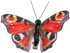 -Artificial Feather 3D Butterfly Party Decorations Set of 12 with Clip 12 Color