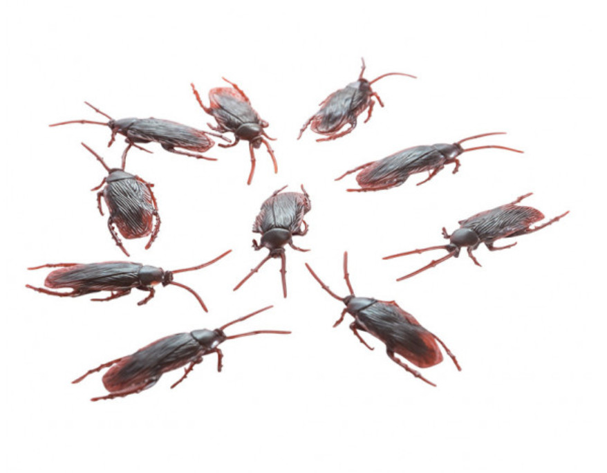 Halloween Cockroach Decorations 7cm Long Novelty Fake Joke Prank Horror 10pcs
