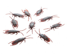 Halloween Cockroach Decorations 7cm Long Novelty Fake Joke Prank Horror 10pcs