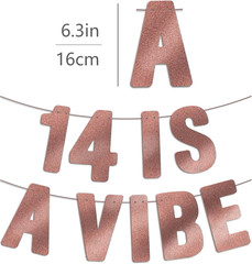 Pre Strung – 14 Is a Vibe – Rose Gold Glitter Banner, 14Th Birthday Decorations