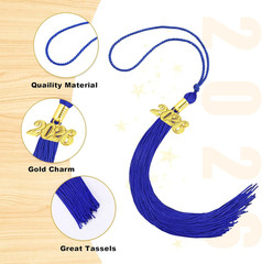 2026 Royal Blue Graduation Tassels – 10 Pack for Graduation Ceremonies