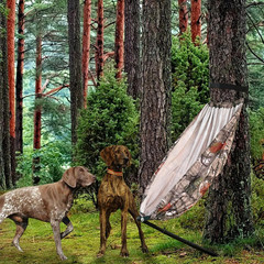 Camo Tree Camping Chair Hunting Hammock Seat Hunting Chair Portable and Light…