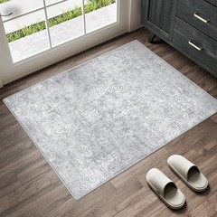 2×3 Entryway Area Rug Vintage Washable Small Carpet Indoor Non Slip Grey Kitc…