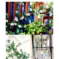 185cm Silk Daisy Vine with Flexible Stems for Vertical Garden and Wall Hanging