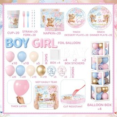 Teddy Bear Gender Reveal Party Decorations Set NEW