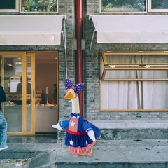 Decorative Goose Outfits for 23 Inch Lawn Statues Enhance Outdoor Aesthetics