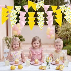6PCS Lemon Party Decorations Pennant Banners Pink and Yellow Triangle Flags G…