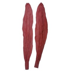 2 Pack Giant 72 Inch Red Balloons for Party Decorations Extra Large Latex Bal…