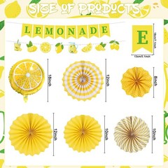 Lemonade Stand Party Decorations Kit Lemonade Drink Style Paper Fans Banners