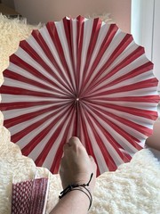 Hanging Paper Fans Party Set 11pcs Decoration for Birthday Wedding, 5 Red 6 BLK