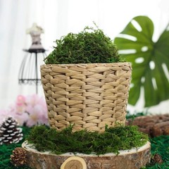 BYHER Artificial Moss Fake Green 10 inches x 4 x 3 inches, 8oz, Fresh