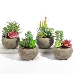 SPEPLA Succulents Plants Artificial 4 Pack, Mini Fake in Type2