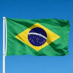 Flag, Flag of 3×5 Ft – Polyester Lightweight Flags with 2 Brass 1 Pc Brazil