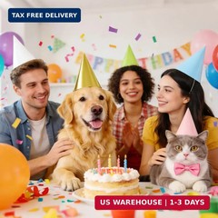 CANREVEL 24 PCS Pre-Assembled Party Hats for Adults, Party Supply for Party Deco