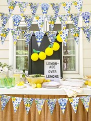 6PCS Amalfi Coast Party Decorations: Capri Lemon Garland Mediterranean Decor,…