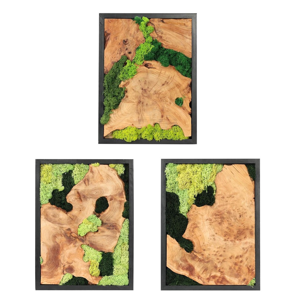 NAHARO Natural Preserved Moss Wall Art – 16»*12», Rectangle*3