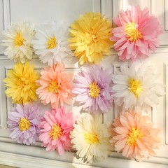 12 Pcs Daisy Tissue Paper Pom Poms Party Decorations 4 inches, Colorful