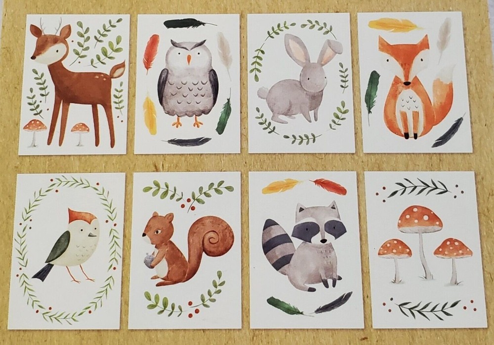 WOODLAND CREATURES 5 x 7 Paper Decor Collection Set Baby Shower Nursery Framing