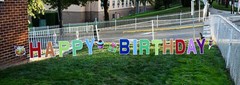 Happy Birthday Yard Sign Lawn Letters and Decorations 17 pcs Stakes Included