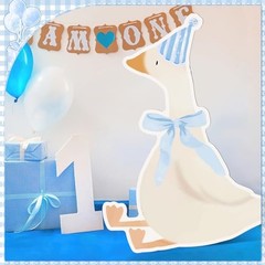 One Silly Goose Party Decorations 1st Birthday Silly Goose Blue Striped Style